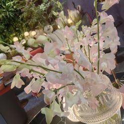 -花隐·美芙炫海菲秀皮肤管理中心