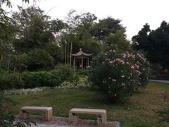 -晓港公园