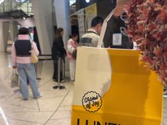 -LUNEURS月乐诗·法式冰淇淋(环贸店)