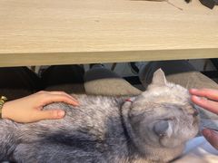 -Oasis绿洲银饰珍珠手作diy(壹方城店)