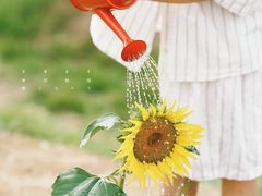 -花开海上生态园