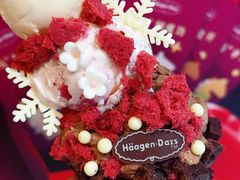 -哈根达斯(大洋百货店)