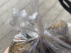 -叶氏麻糍(鼓浪屿店)