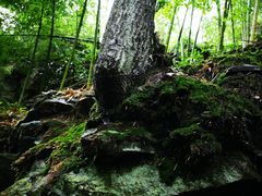 -藏龙百瀑风景区