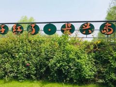 -前小桔亲子创意农场·草莓采摘·露营烧烤