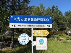 -汤旺河林海奇石景区