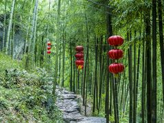 -山沟沟景区