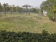 -合肥野生动物园