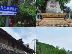-西双版纳原始森林公园