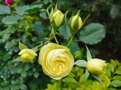 -人民公园(罗湖区)