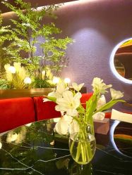 -花隐·美芙炫海菲秀皮肤管理中心