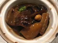 -詠春园