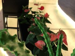 -三亚福朋喜来登酒店·大堂吧