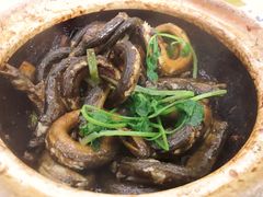 -台山美食一绝阿四台山黄鳝饭(阿四创作店)
