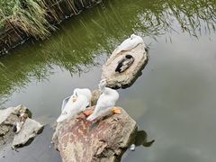 -日出青木·杭帮菜名店