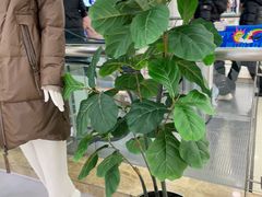 -新世界百货(顺义店)