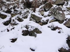 -少华山国家森林公园
