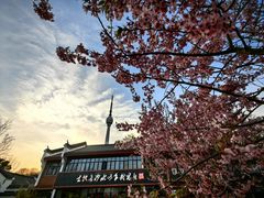 -龟山风景区-龟山电视塔