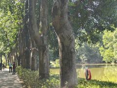 -广州市石门国家森林公园