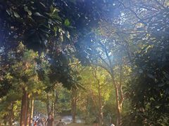 -敬亭山风景名胜区