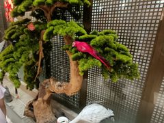 -红菜坊·烤鸭·川鲁宴(石园店)