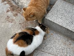 -北京凤凰岭
