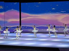 -中央芭蕾舞团·中芭艺蕾(酒仙桥明星校区)