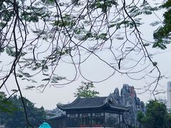 -荔湾湖公园