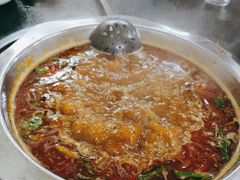 -新乡杨记红焖羊肉火锅(天坛南门店)