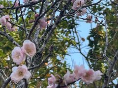 -荔枝公园(福田区)