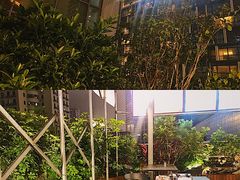 -财神鸡煲(华强北店)