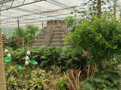 -南宫五洲植物乐园