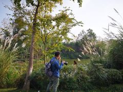 -白鹭湾湿地公园