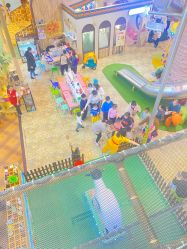 -卡通尼·Safari非洲探索乐园·生日会(金桥国际商业广场店)