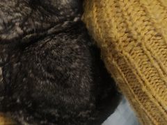 -雨林宠物医院 非犬猫异宠专科
