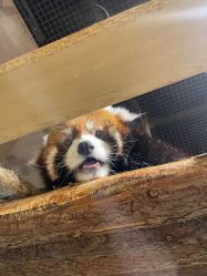 -Zoolung Zoolung动物主题公园(海信广场店)