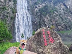 -刘伯温故里景区百丈漈