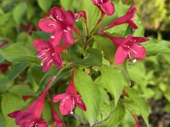 -贡湖湾湿地公园