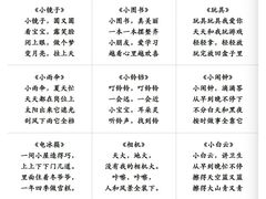 -澳洲袋鼠早教(南二环店)