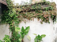 -乌镇东栅景区
