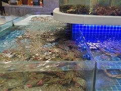 -大众海鲜(巨龙北路店)