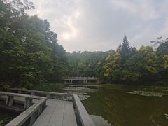 -深圳国际园林花卉博览园