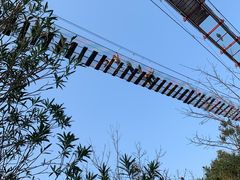 -清境桃源