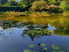 -国家植物园南园