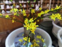 -今日陶艺(富力广场店)