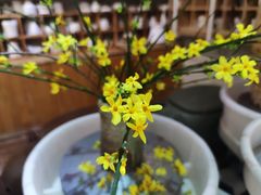 -今日陶艺(富力广场店)