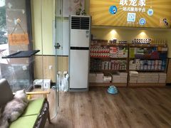-派联宠物医院·24h·CT·异宠