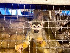 -成都浩海立方海洋公园