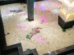 -宝燕海鲜(好爱店)