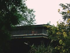 -白鹭湾湿地公园